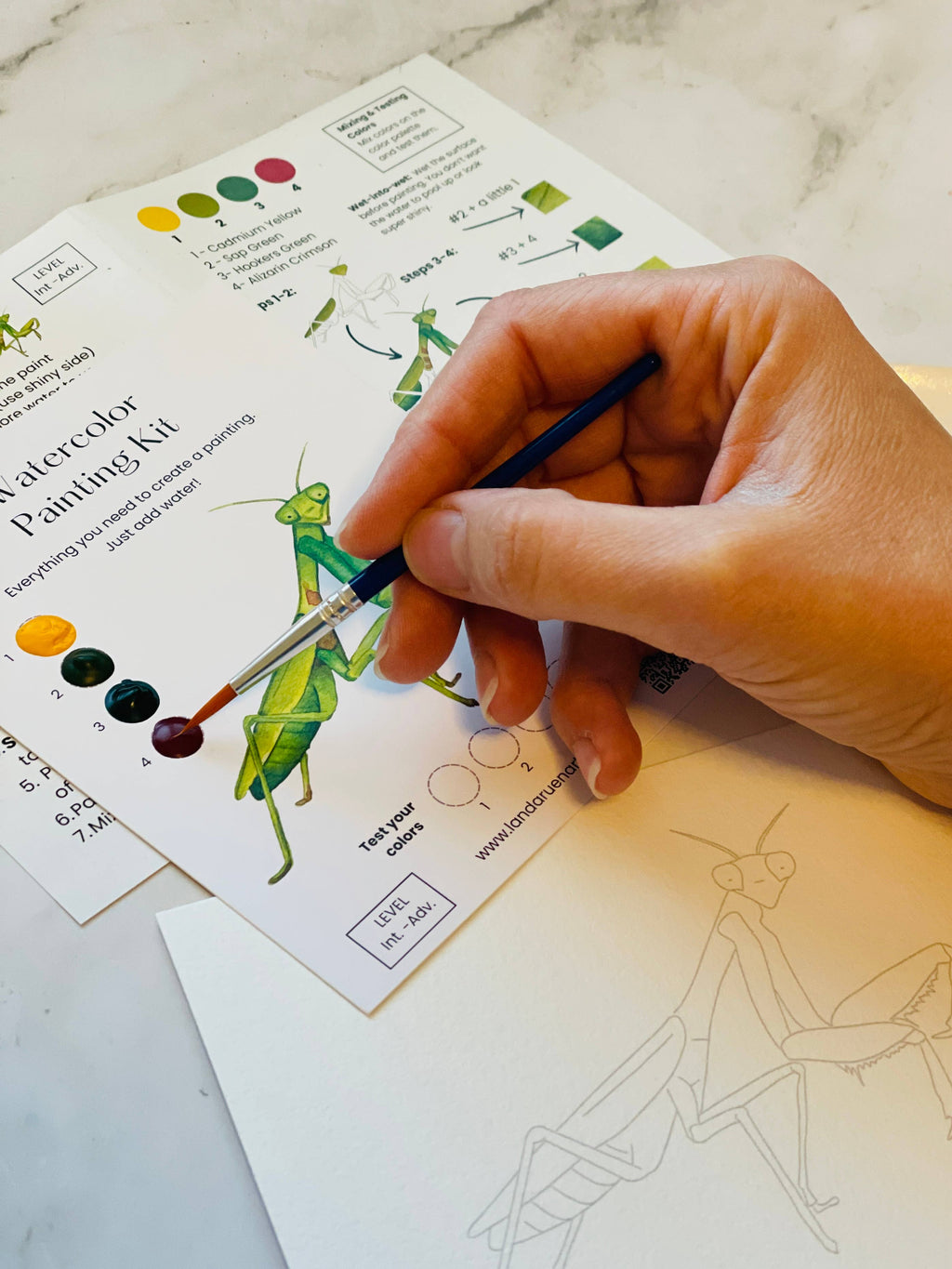 Praying Mantis Watercolor Kit