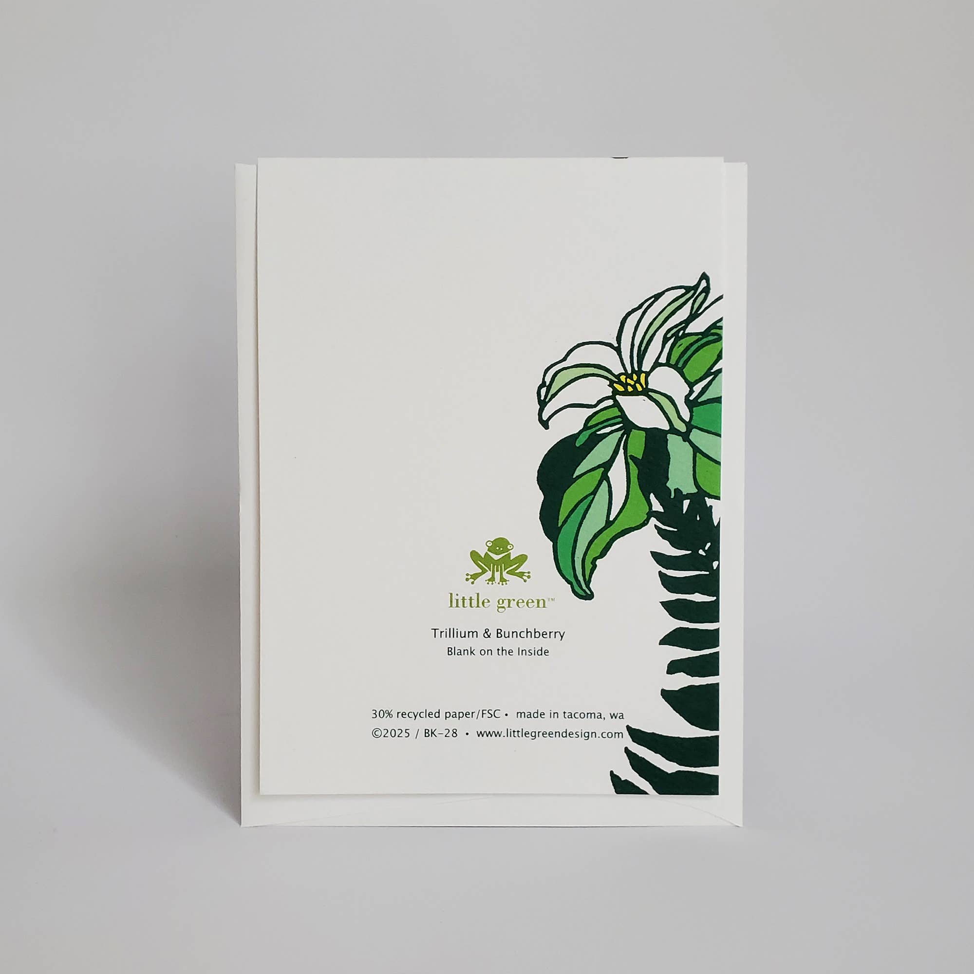 Botanical Spring Trillium Blank Note Card / Greeting Card