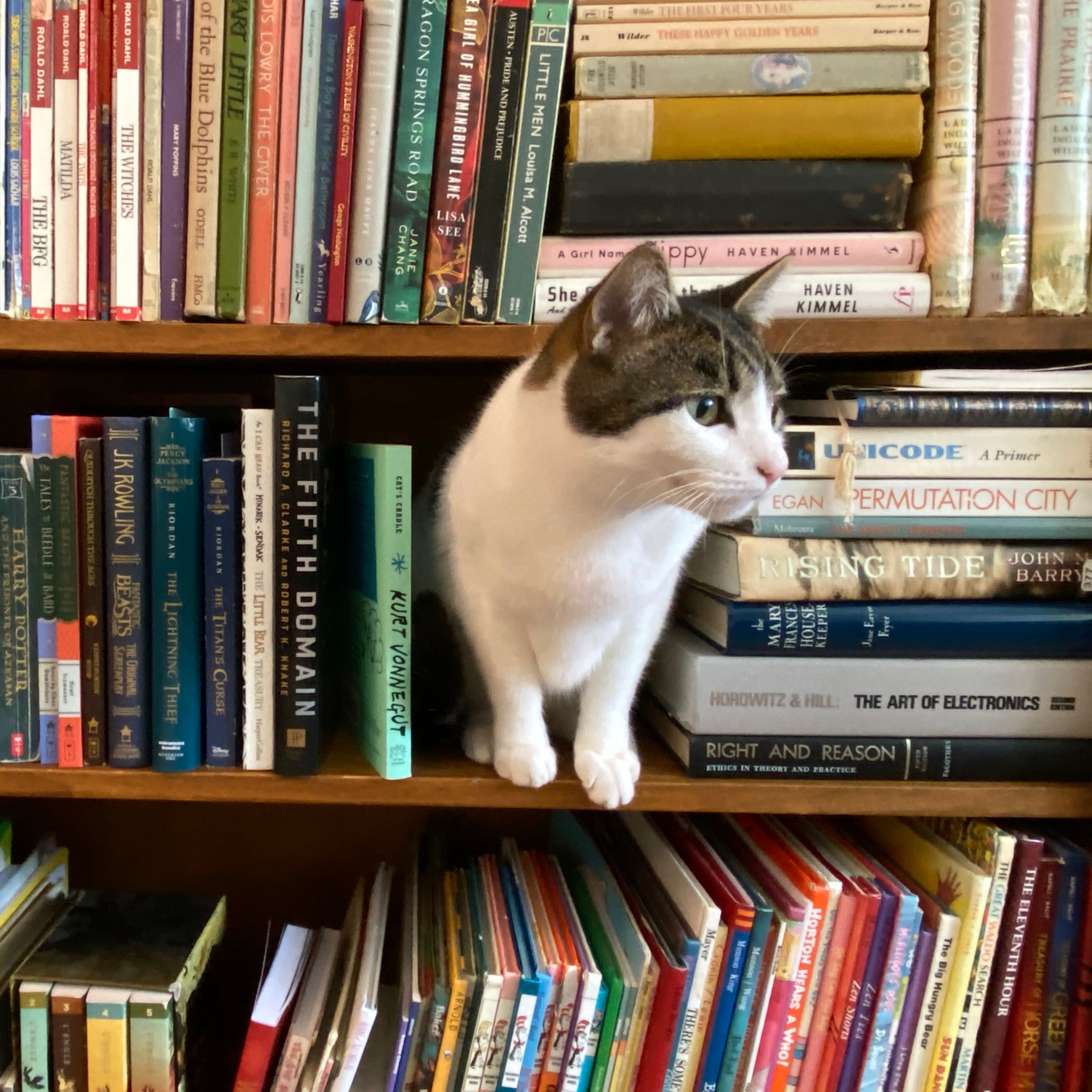 Fiction & Fiber Book Club Jan 11th 11-12pm