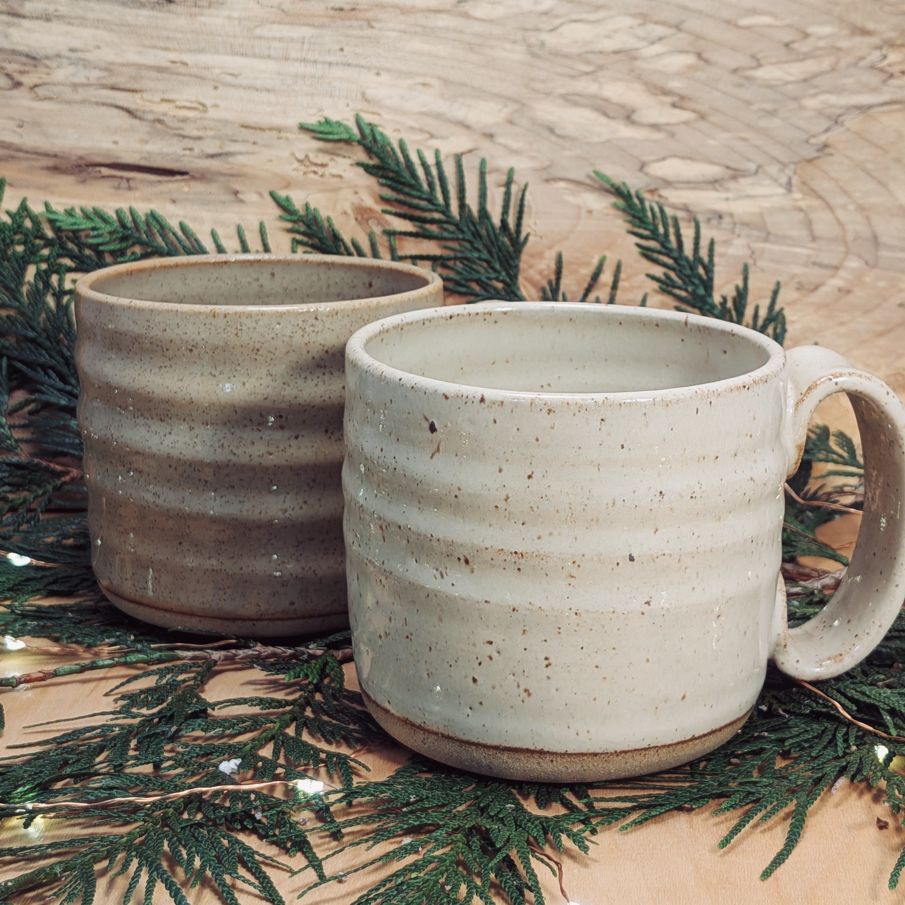 8 Week Beginning Wheel Throwing Feb 8th - March 29th