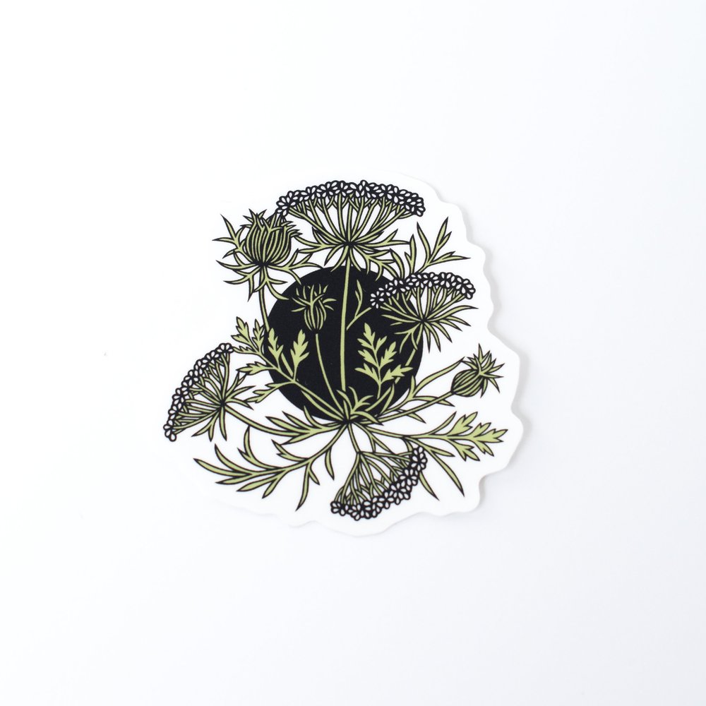 Queen Anne's Lace Sticker