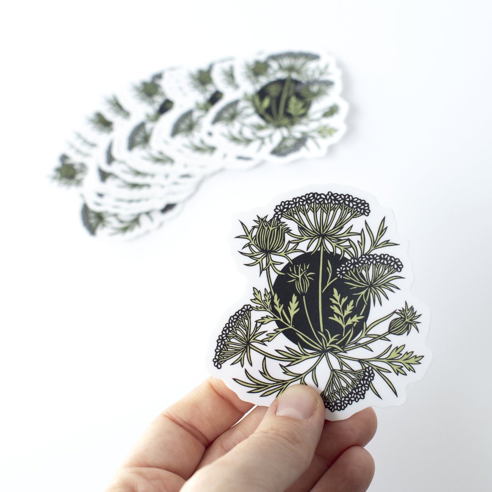 Queen Anne's Lace Sticker