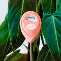 Moisture Meter | Grapefruit