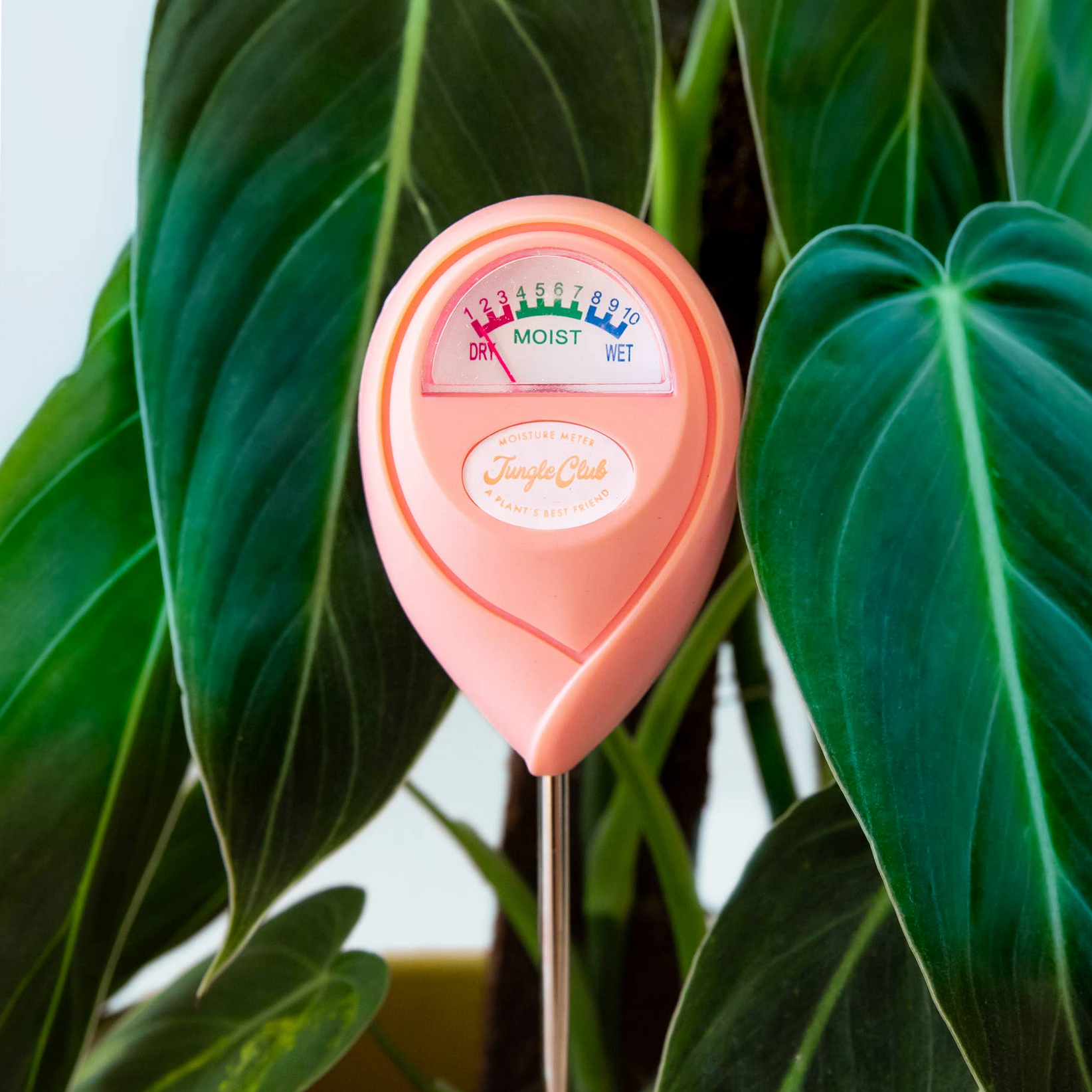 Moisture Meter | Grapefruit