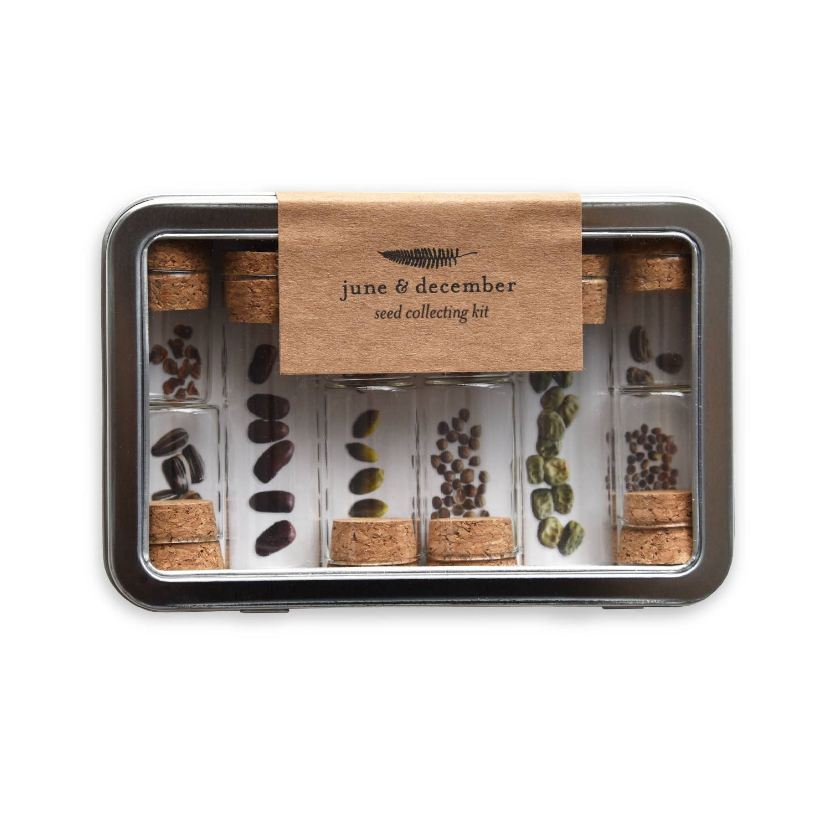 Seed Collecting Kit