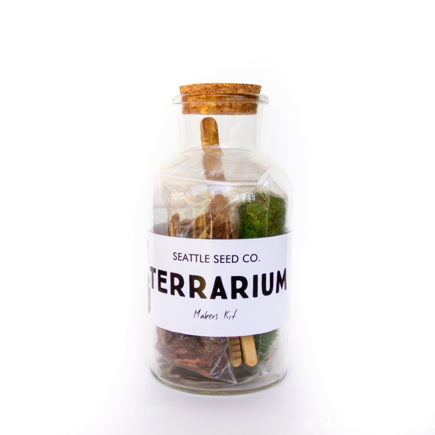 air plant terrarium makers kit DIY Terrarium Kit