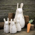 DIY Bunnies and Carrot Stuffed Companian Kit