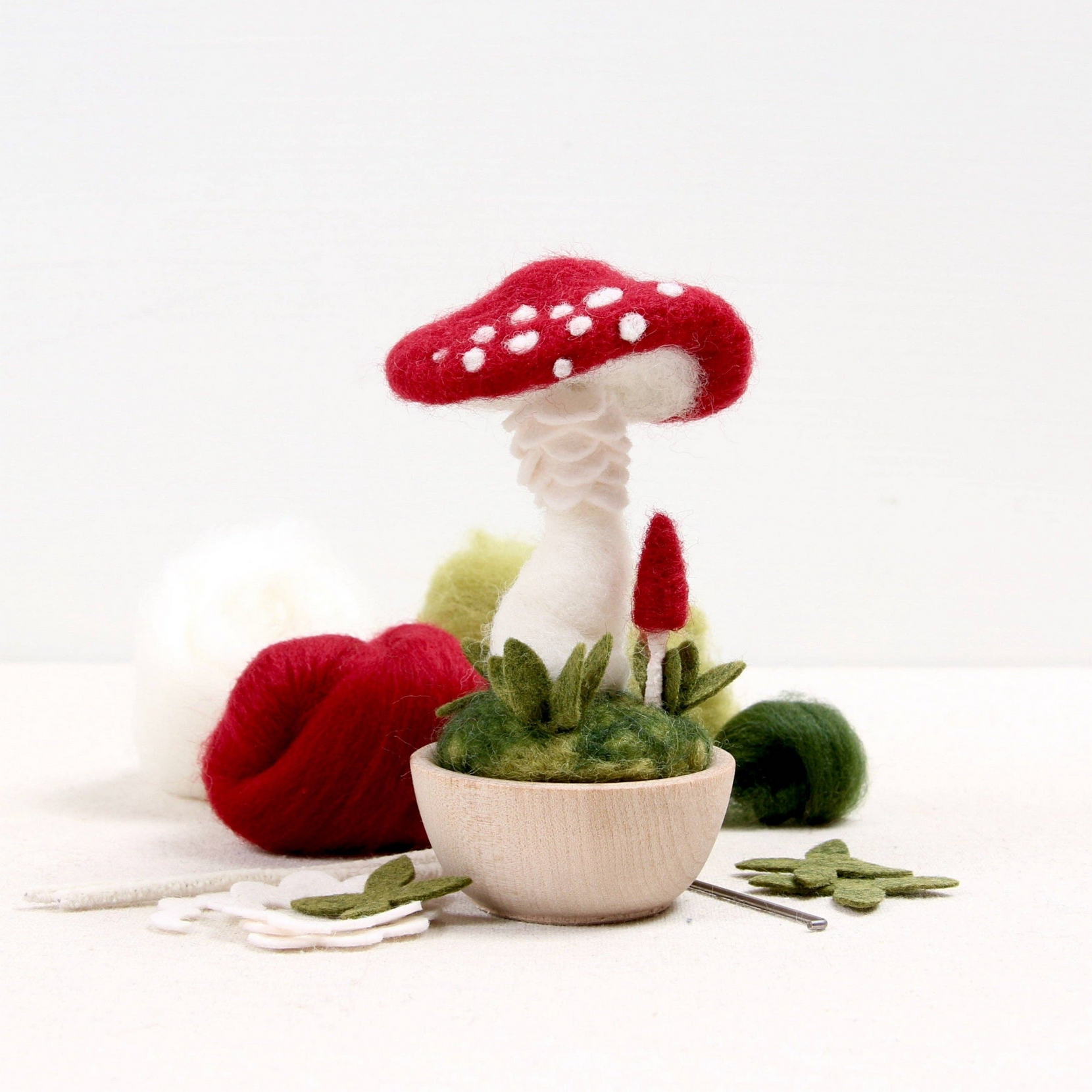 Mushroom Needle Felting Kit