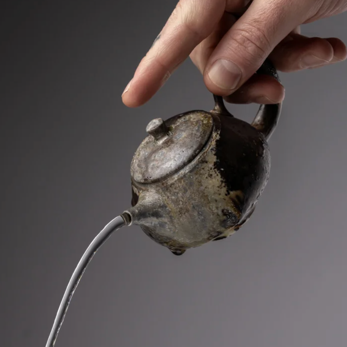 Winter Teapot Intensive (6 full day sessions)