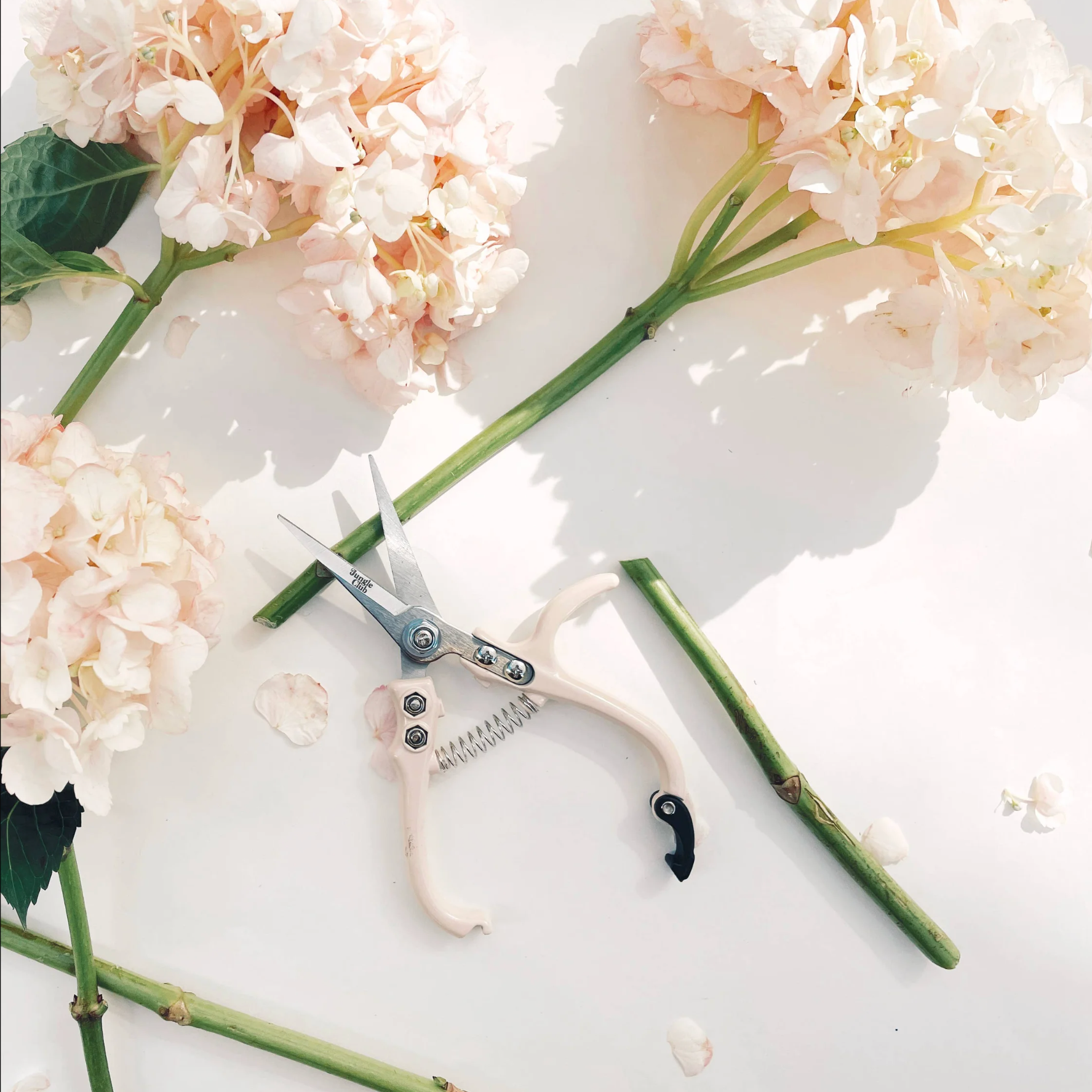 Pruning Shears | Vanilla