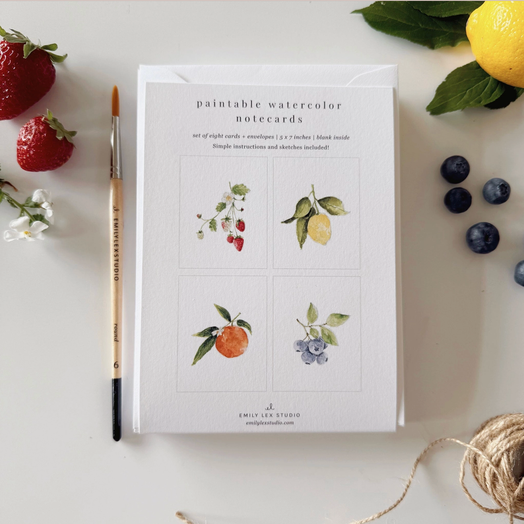 Emily Lex Paintable Notecards