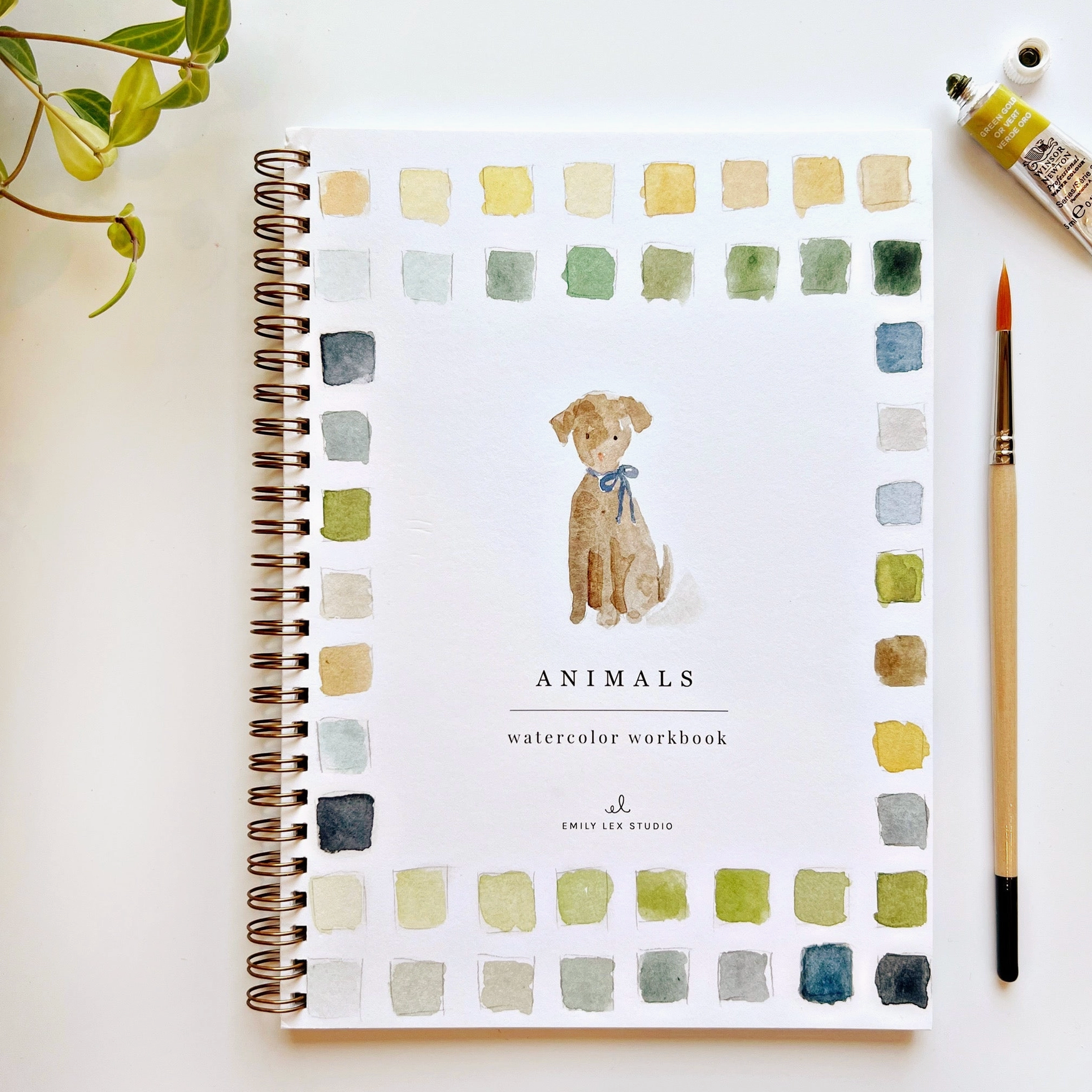 Emily Lex Watercolor Workbook