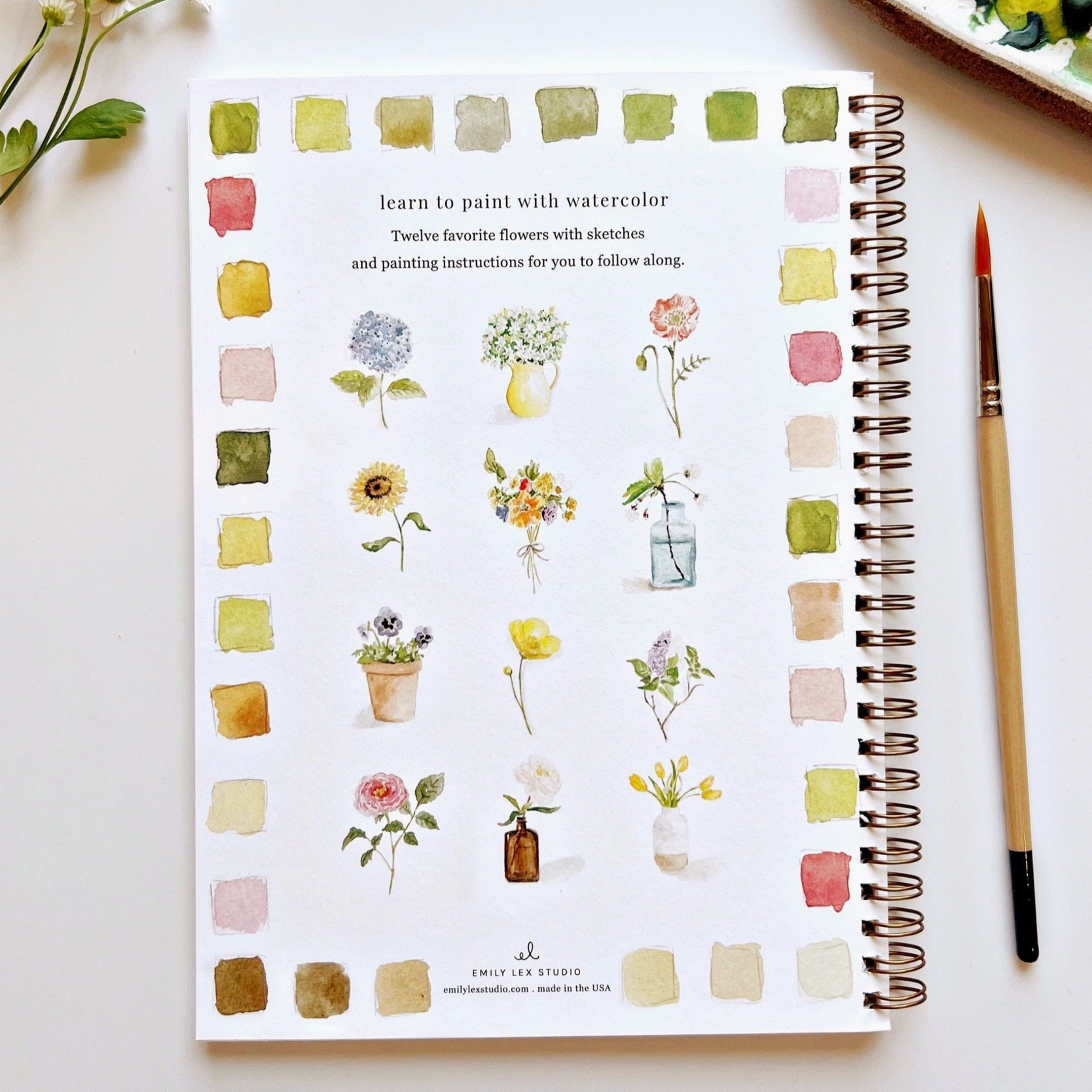 Emily Lex Watercolor Workbook