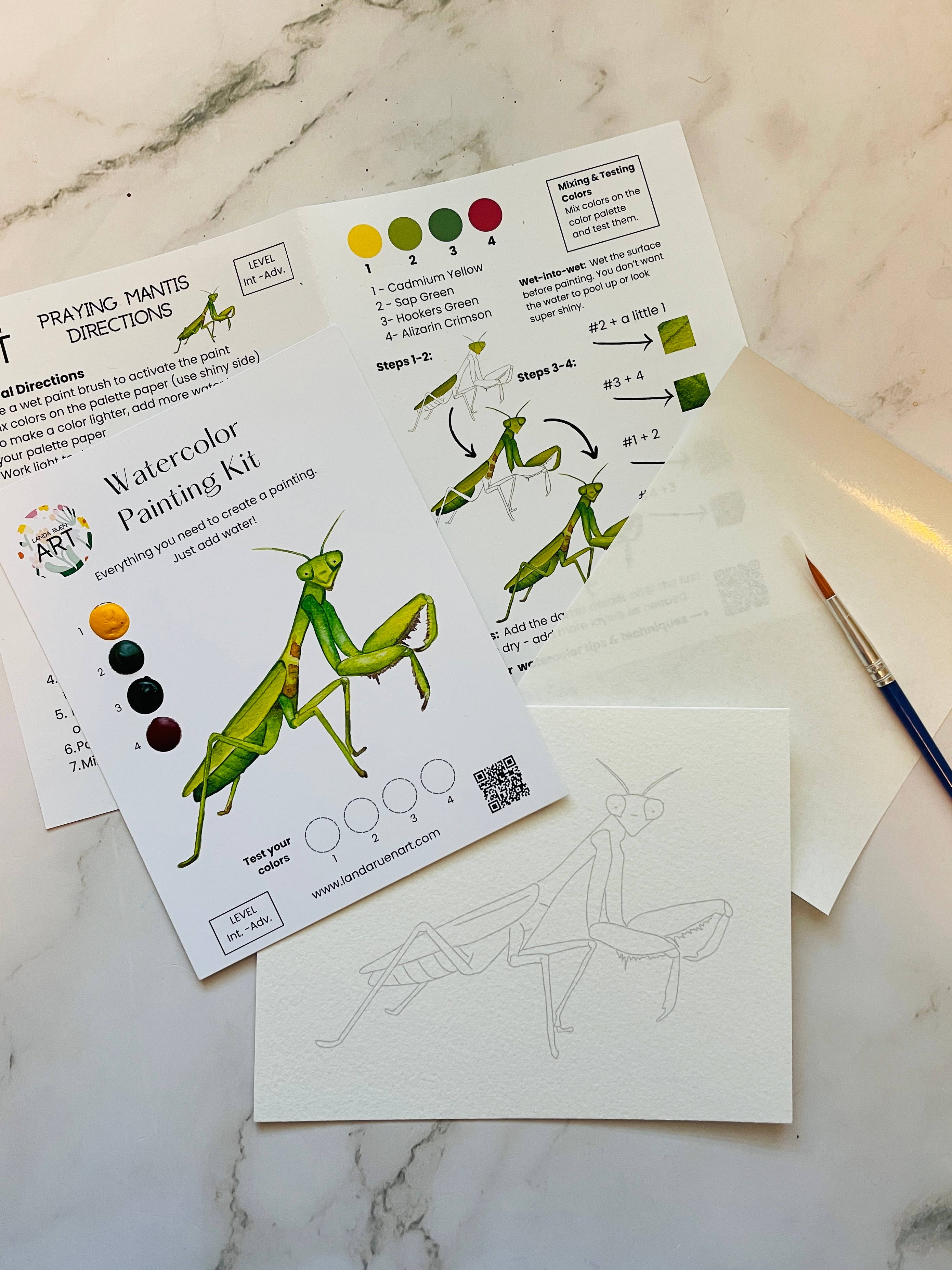 Praying Mantis Watercolor Kit