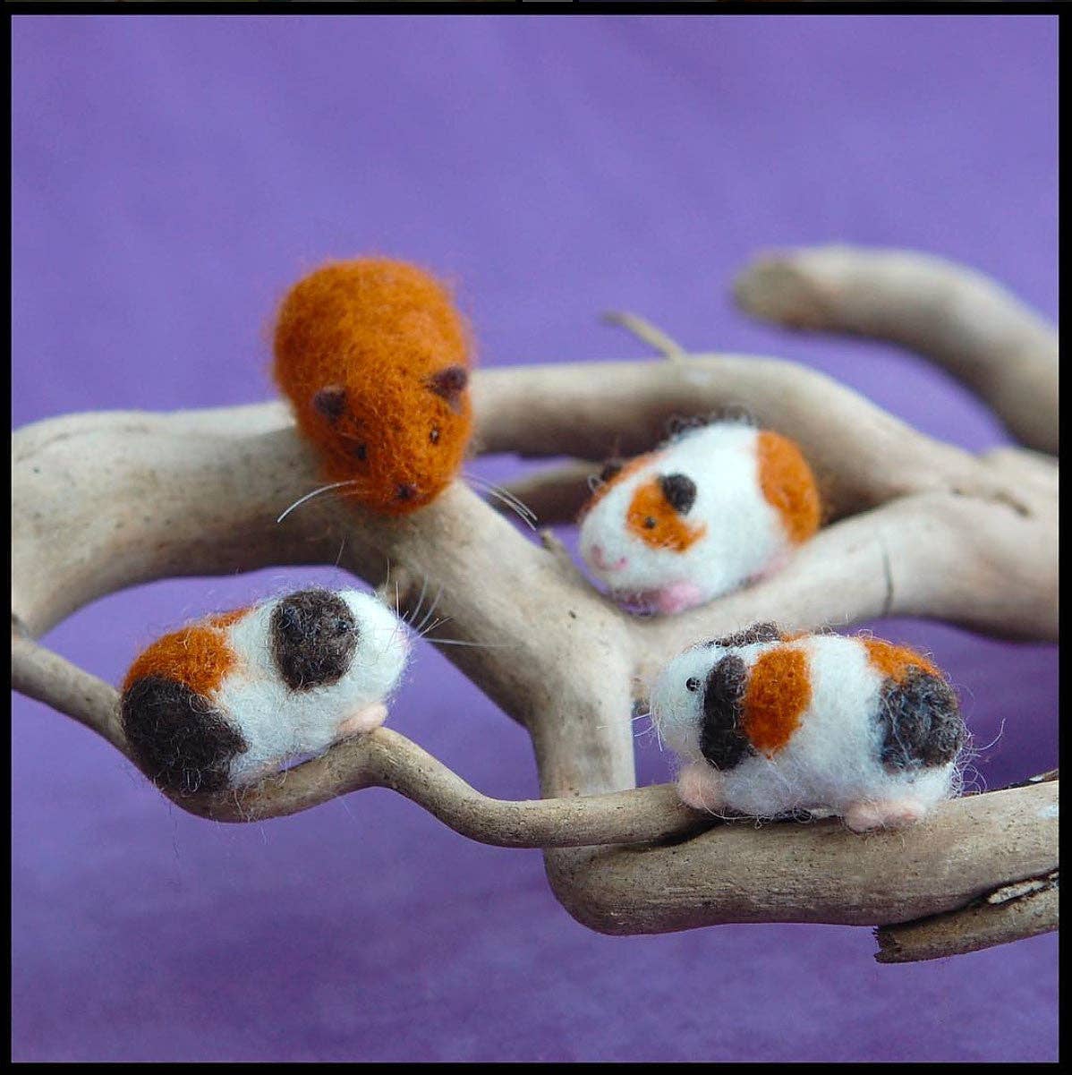 Woolpets Felting Kits