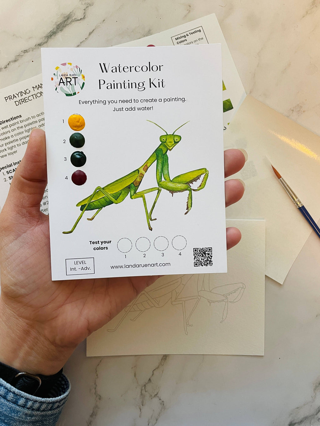 Praying Mantis Watercolor Kit