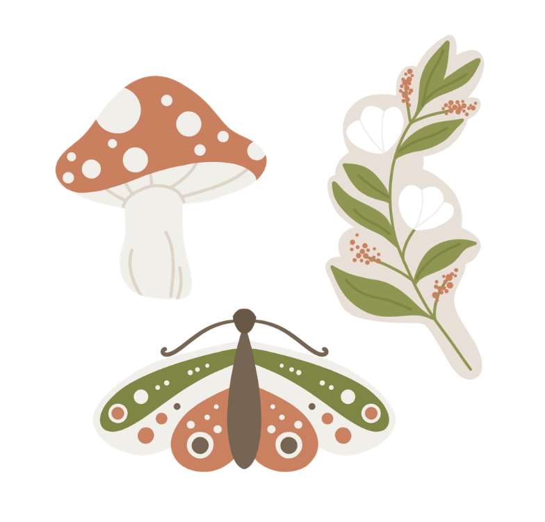 Whimsical Cookie Decorating Sept 19th 4-5:30pm